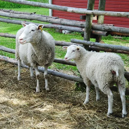 Tastulan Lomakylae פארק נופש 3*